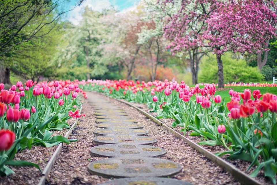 Waar moet je opletten als je een tuin gaat aanleggen?