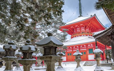 Japanse familie inspiratie, verder dan de winterlichten van Breda
